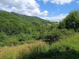Prodej pozemků 42 844m²